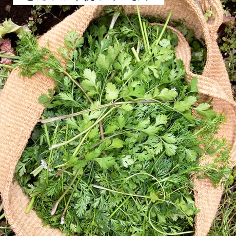 パクチーにんにくオイル　Coriander&garlic oil [VEGAN]