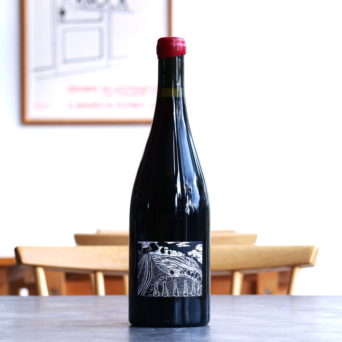 赤ワイン ボジェ ジュエット コトー シャンプノアR19 赤ワイン ボジェ