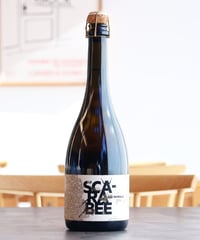 Le Scarabee Qui Bulle 2014 Christian Binner ル・スカラベ・キ・ブル 2014 クリスチャン・ビネール