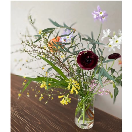 季節のお花お届け便 Sサイズ　６ヶ月コース
