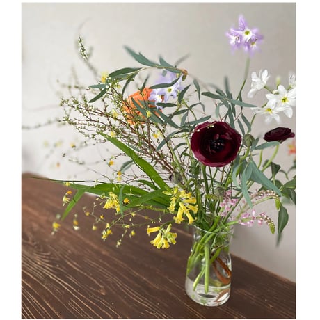 季節のお花お届け便 Sサイズ  お試し１回分