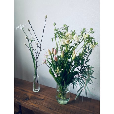 季節のお花お届け便 Lサイズ  お試し１回分