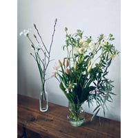 季節のお花お届け便 Lサイズ　６ヶ月コース