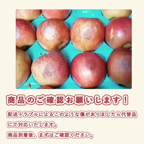 蜜入りサンふじ（贈答用・糖度13度以上）約5kg