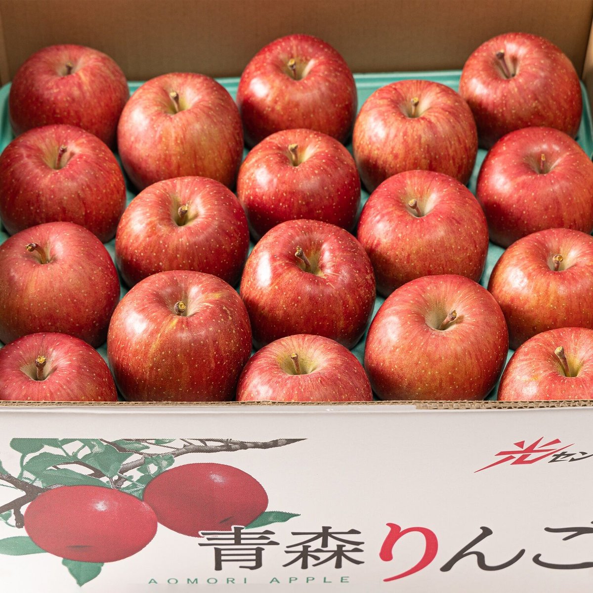 蜜入りサンふじ（家庭用・糖度13度以上）約10kg　マルコウアップルStores店