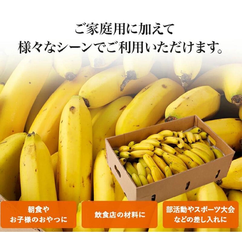 訳あり甘熟王バナナ 約10kg | 産直しよぅ