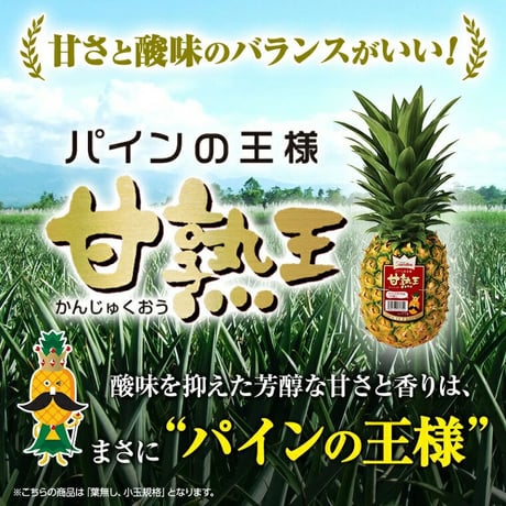 【業務用】パイナップル 小玉 20玉 約14kg 甘熟王パイン