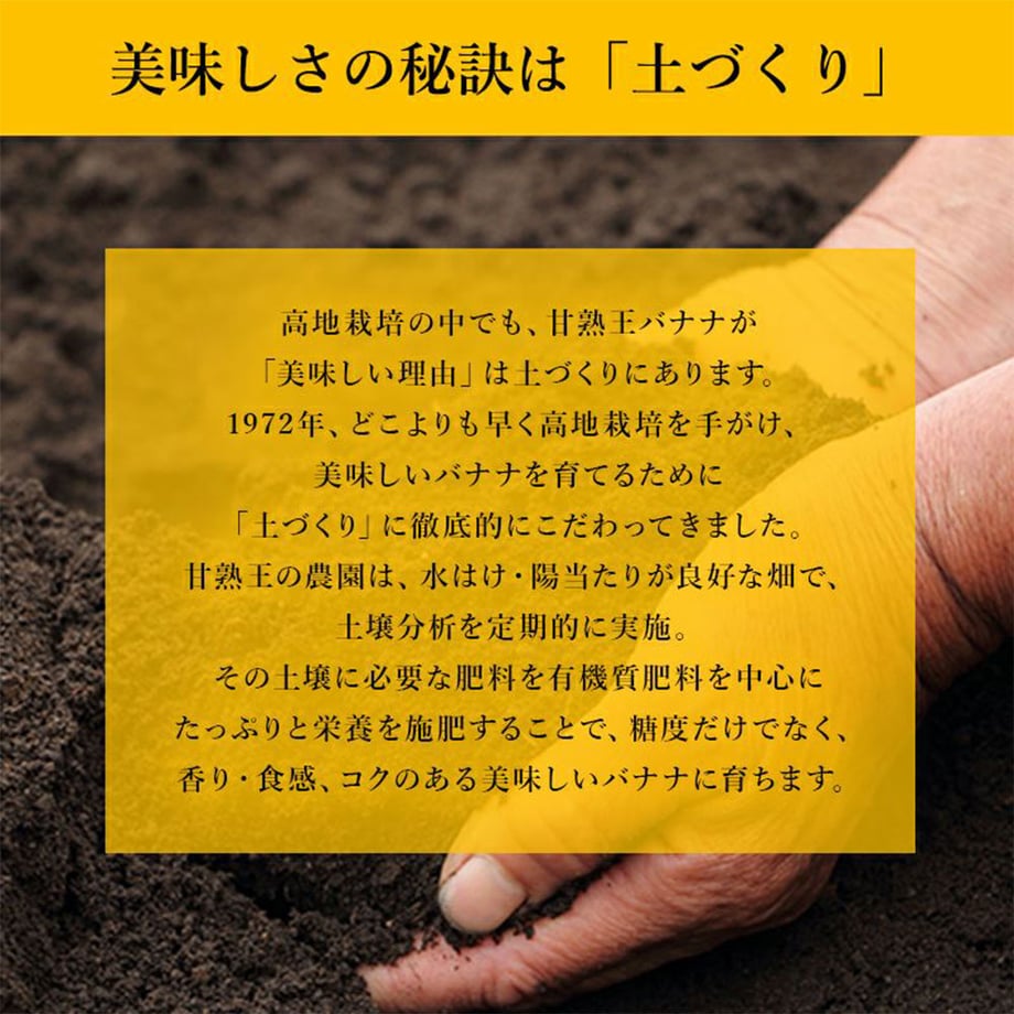 66d86e55464e551191111ad9