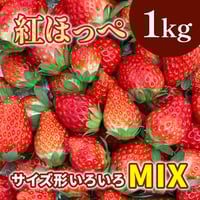 【期間限定】紅ほっぺ MIX 1kg (サイズ、形いろいろ）≪お届け期間：2024/12/6～2025/6/30≫  販売期間：2025年6月25日迄