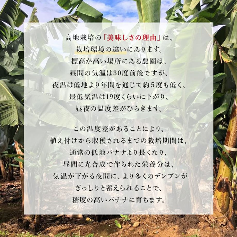 66d86e55464e551191111ad9