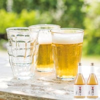 和歌山 梅搾り (4倍希釈) 2本セット 490ml×2 化粧箱入り