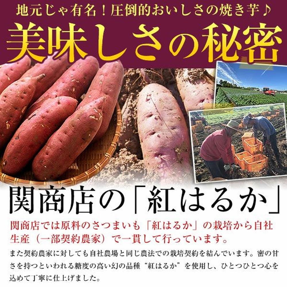 茨城県産 紅はるか 冷凍焼き芋 4.0kg(500g×8袋) | 産直しよぅ