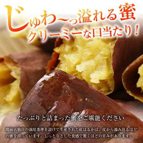 茨城県産 紅はるか 冷凍焼き芋 4.0kg(500g×8袋)