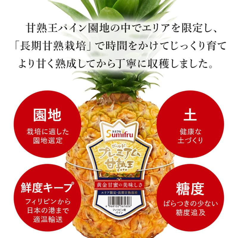 Pine様専用 【公式通販】 Pine様専用 【公式通販】