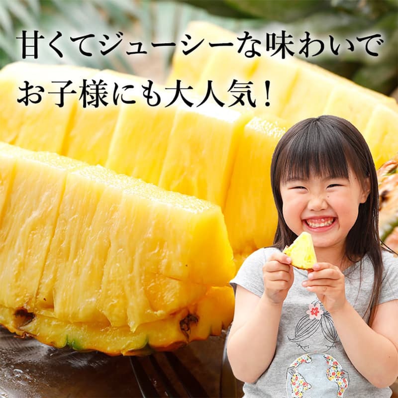甘熟王ゴールドプレミアムパイン 2玉 | 産直SHIYO