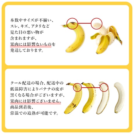 訳あり甘熟王バナナ 約15kg