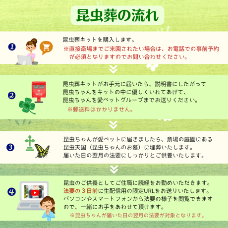 愛ペットの昆虫葬　郵送キットワイド　昆虫ちゃん５匹用（埋葬・ご供養費・郵送料込み）