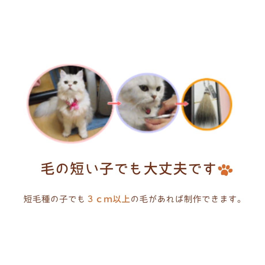 66a0a8673cc552002f4c3328