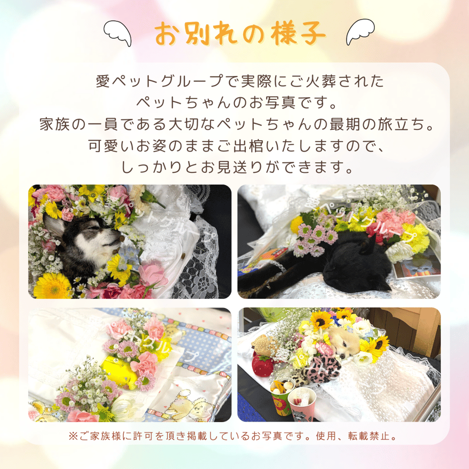60166579c19c457ed8088c82