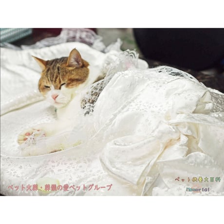 【Mサイズ】愛ペット限定　天使のおくるみ with 手作りミニ数珠SET ペット用お棺