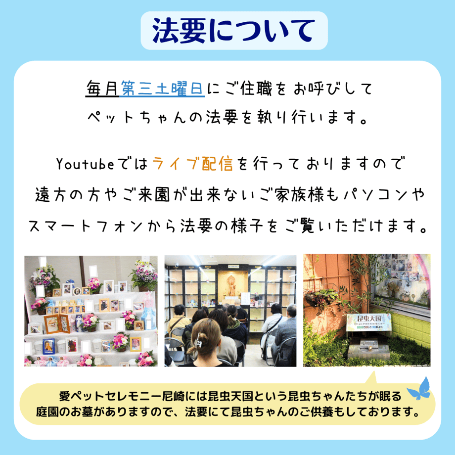 6495319db18b1e0031df01b9