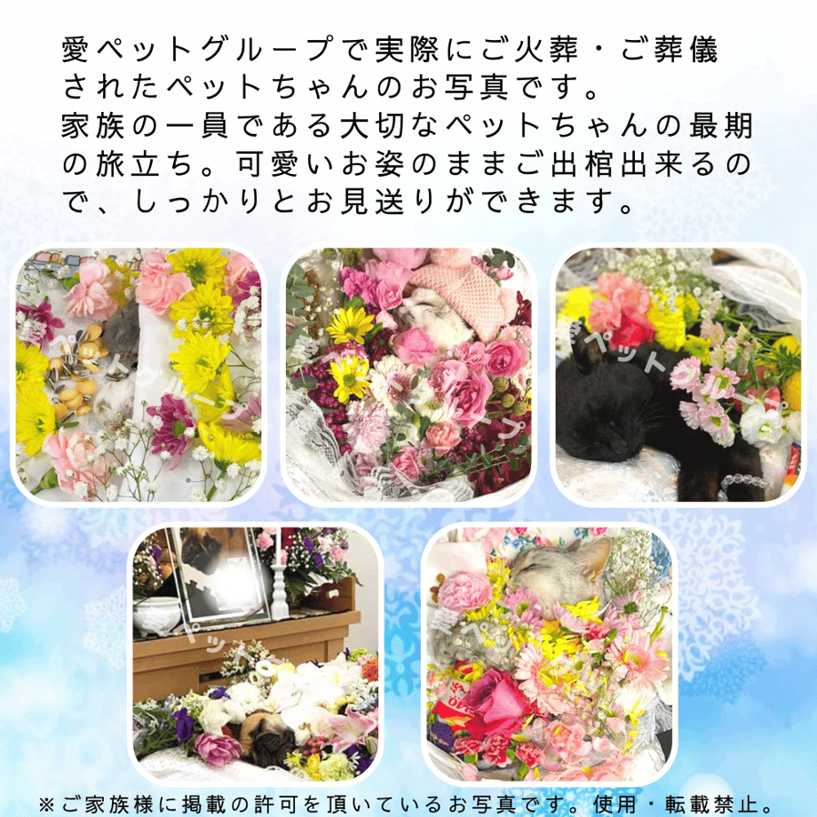 600e64ac2438606ad91f2ef7