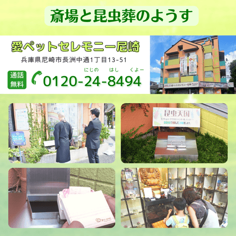 愛ペットの昆虫葬　郵送キットワイド　昆虫ちゃん５匹用（埋葬・ご供養費・郵送料込み）