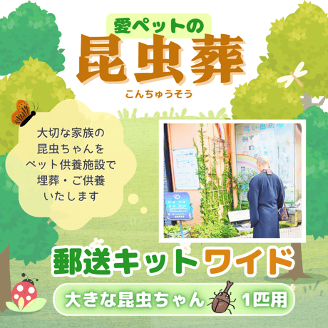 愛ペットの昆虫葬　郵送キットワイド　大きな昆虫ちゃん１匹用（埋葬・ご供養費・郵送料込み）