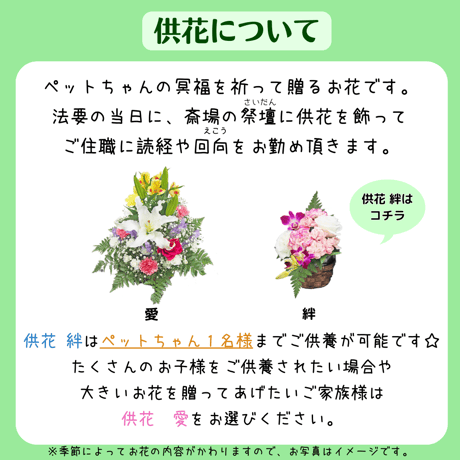 【供花：絆】愛ペットのオンライン（リモート）供養　お申込み （奈良／加茂）　ペット　法要　供養