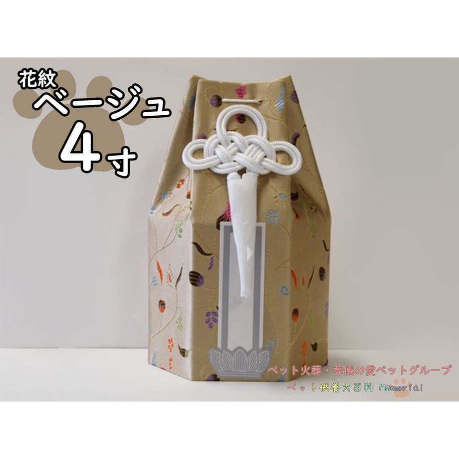 612df4db0f9a22524be229ef