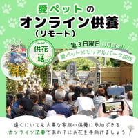 【供花：結】愛ペットのオンライン（リモート）供養　お申込み （奈良／加茂）　ペット　法要　供養