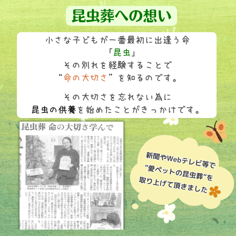 愛ペットの昆虫葬　郵送キットワイド　大きな昆虫ちゃん１匹用（埋葬・ご供養費・郵送料込み）