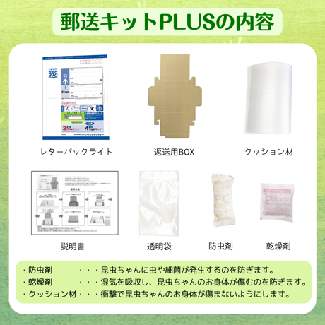 愛ペットの昆虫葬　郵送キットワイド　昆虫ちゃん５匹用（埋葬・ご供養費・郵送料込み）