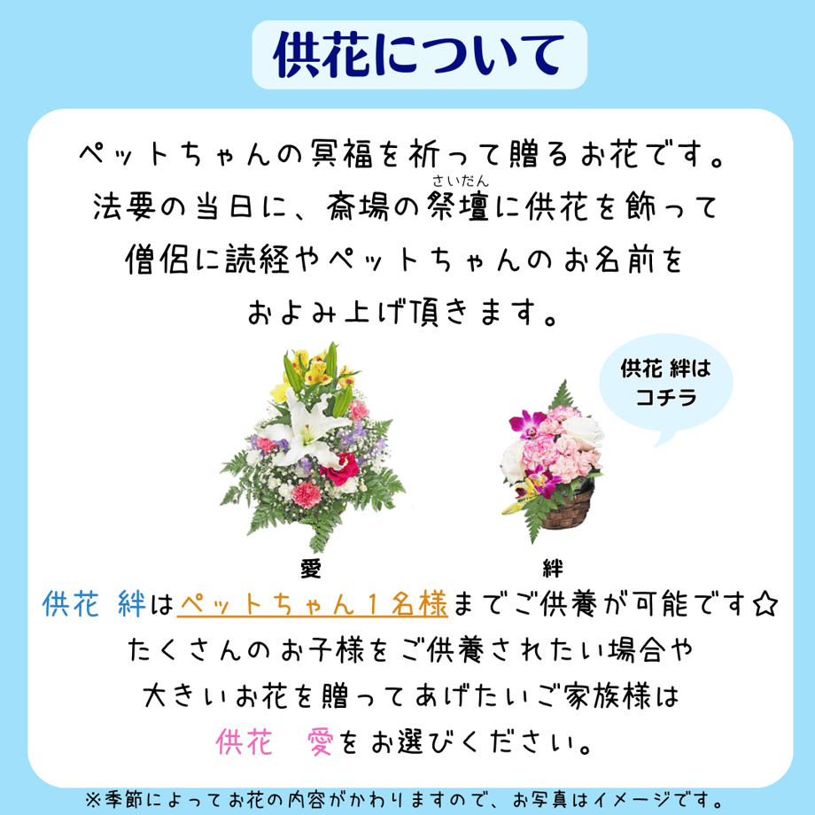 64952f43c67993002f74b0df