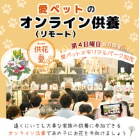 【供花：愛】愛ペットのオンライン（リモート）供養　お申込み （岐阜／大垣）　ペット　法要　供養