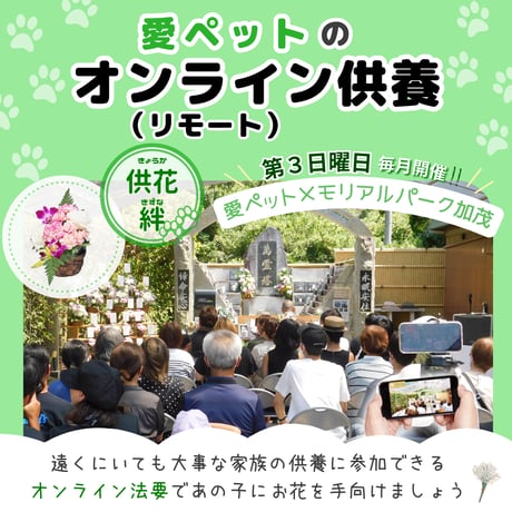 【供花：絆】愛ペットのオンライン（リモート）供養　お申込み （奈良／加茂）　ペット　法要　供養