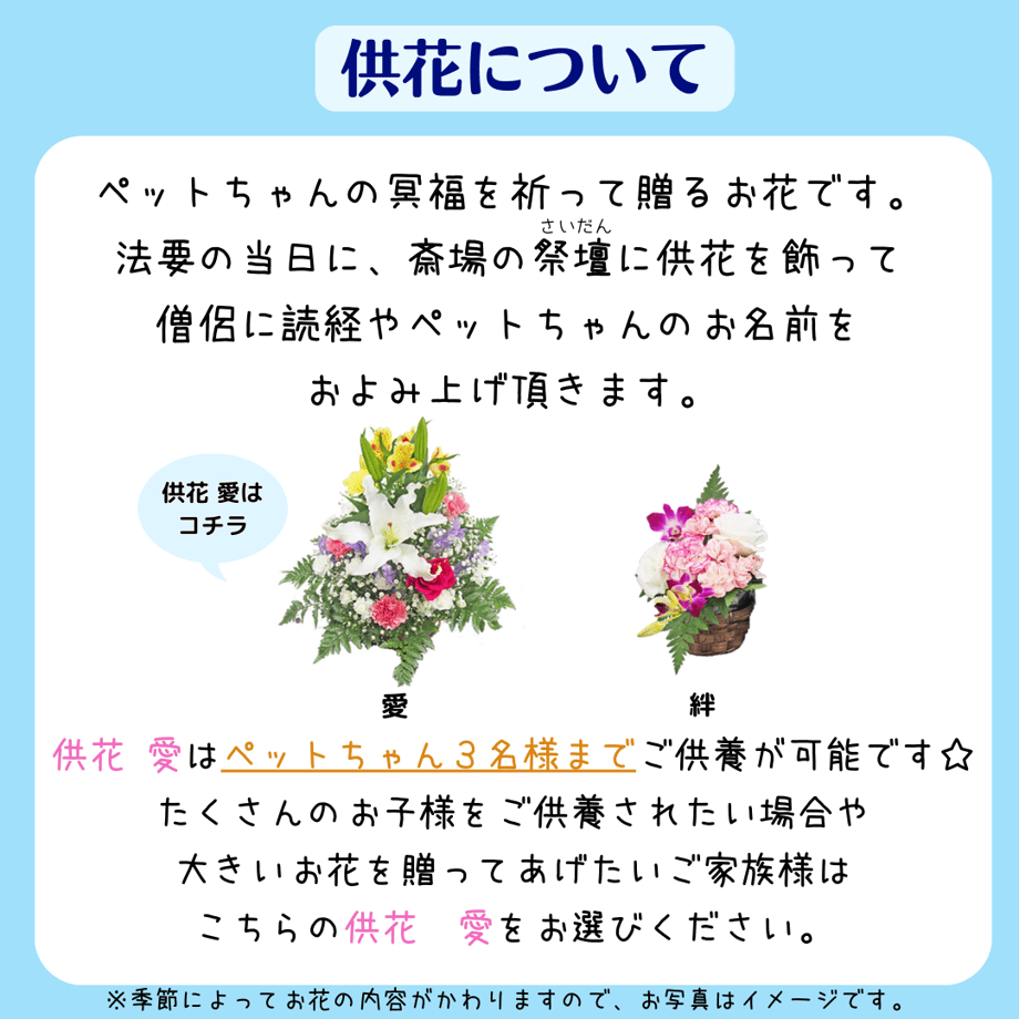 66e1259c2a10e4075c1a800a