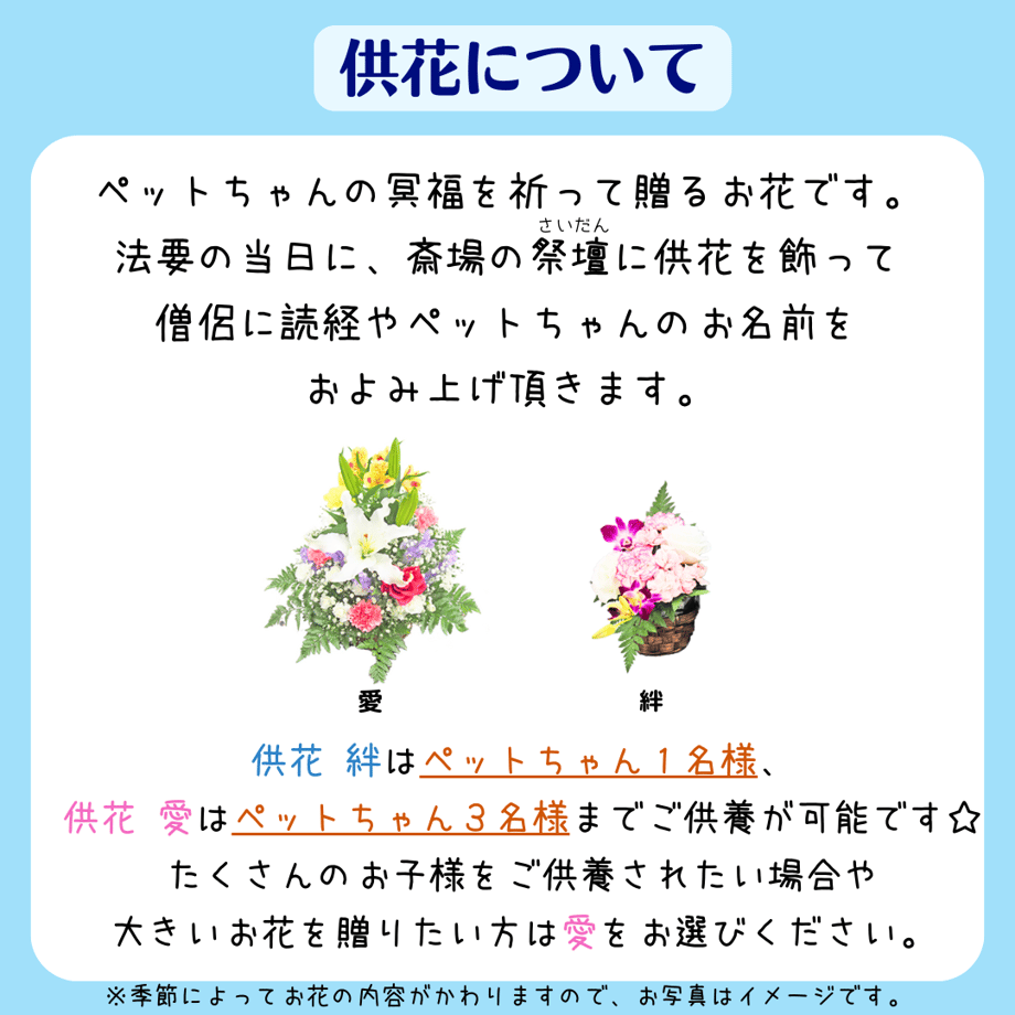 6495319db18b1e0031df01b9