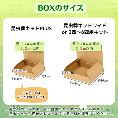 愛ペットの昆虫葬　郵送キットワイド　昆虫ちゃん５匹用（埋葬・ご供養費・郵送料込み）