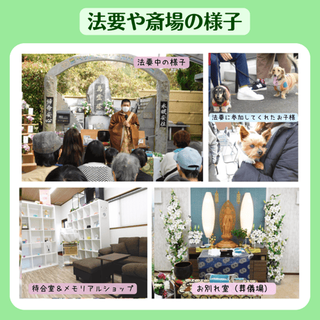 【供花：絆】愛ペットのオンライン（リモート）供養　お申込み （奈良／加茂）　ペット　法要　供養