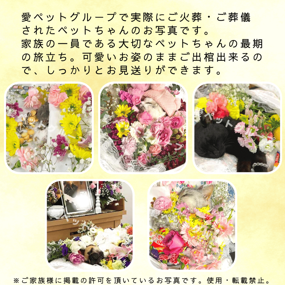 600002ba72eb465f648b6b37