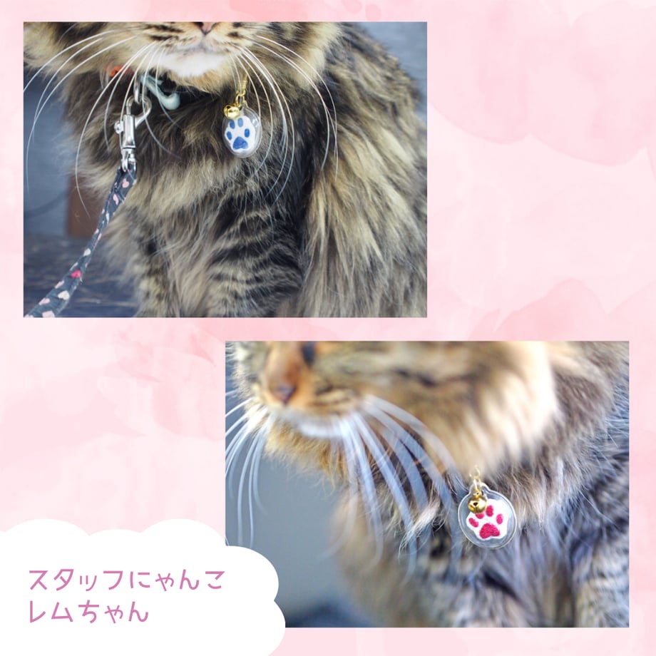 62be919b4ff8c222b8bb5db1