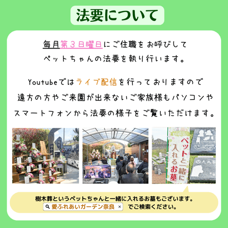 【供花：絆】愛ペットのオンライン（リモート）供養　お申込み （奈良／加茂）　ペット　法要　供養