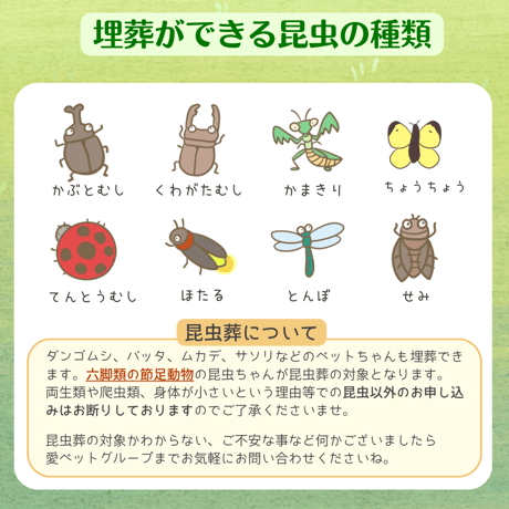 愛ペットの昆虫葬　郵送キットワイド　大きな昆虫ちゃん１匹用（埋葬・ご供養費・郵送料込み）