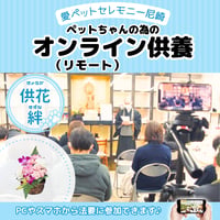 【供花：絆】愛ペットのオンライン（リモート）供養　お申込み （兵庫／尼崎）　ペット　法要　供養