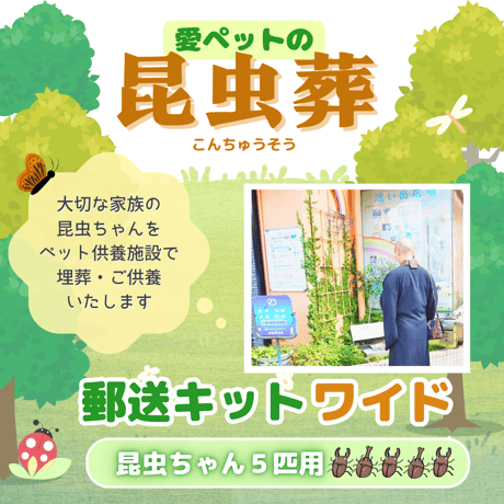 愛ペットの昆虫葬　郵送キットワイド　昆虫ちゃん５匹用（埋葬・ご供養費・郵送料込み）