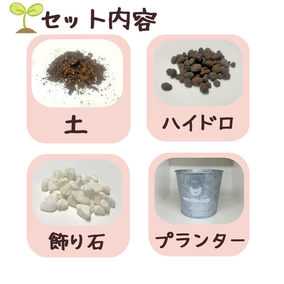 608a8169047a9d5e172a1a2b