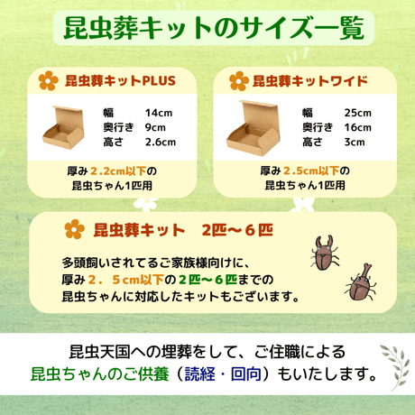 愛ペットの昆虫葬　郵送キットワイド　昆虫ちゃん５匹用（埋葬・ご供養費・郵送料込み）