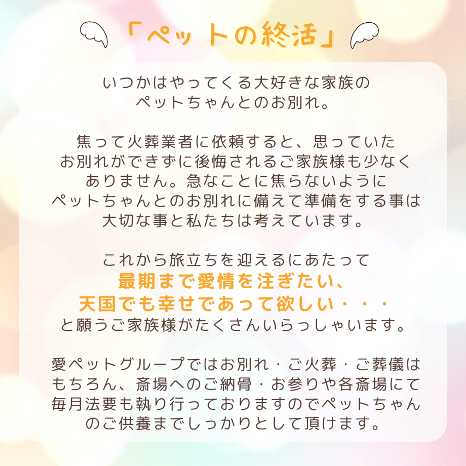 60166579c19c457ed8088c82