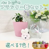 愛ペットのプランター葬　セット　 3.5号